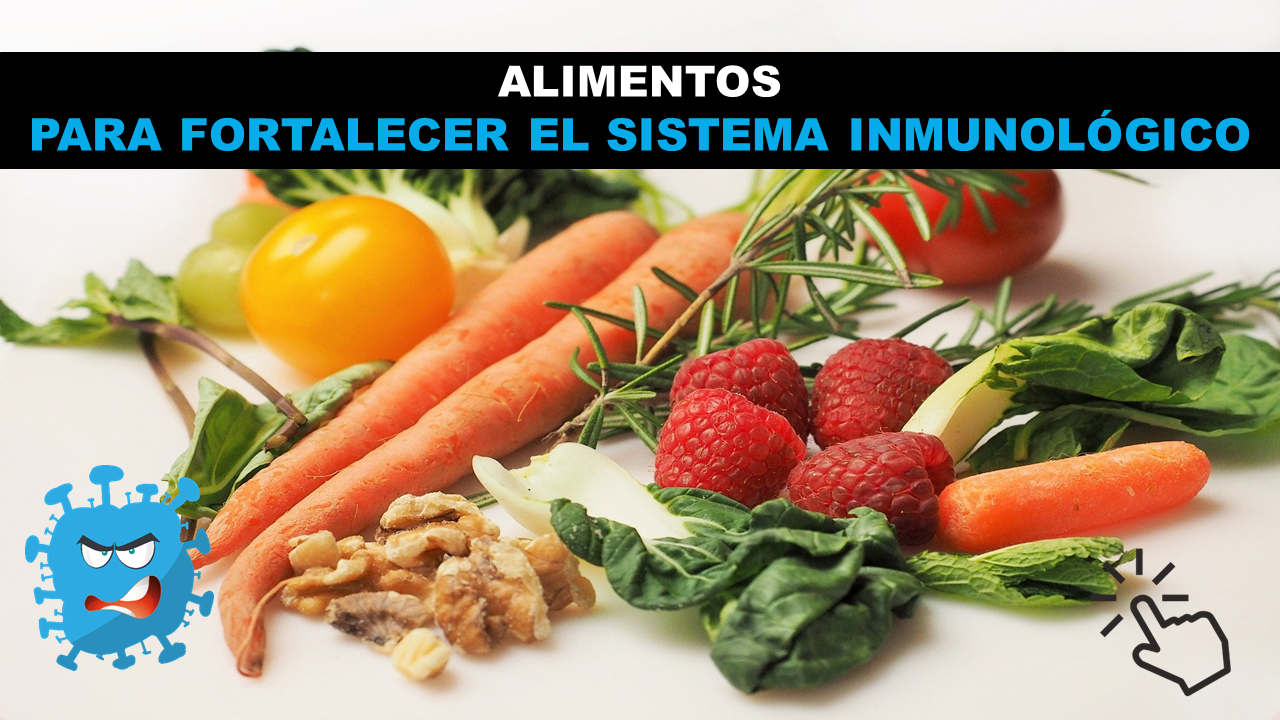 Alimentos para Fortalecer el Sistema Inmunológico